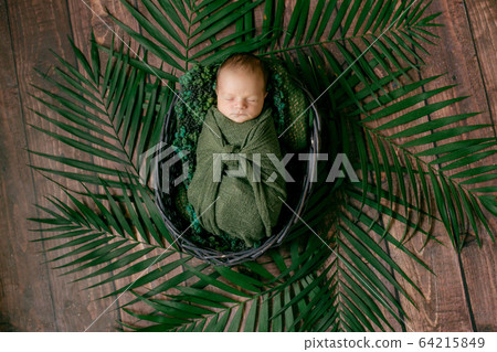 Little cute baby sleeps in a wicker basket of vines decorated with green palm leaves in a green blanket. Happy childhood Little cute baby sleeps in a wicker basket of vines decorated with green palm leaves in a green blanket. Happy childhood 64215849