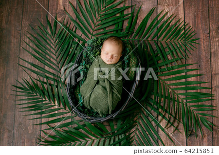 Little cute baby sleeps in a wicker basket of vines decorated with green palm leaves in a green blanket. Happy childhood Little cute baby sleeps in a wicker basket of vines decorated with green palm leaves in a green blanket. Happy childhood 64215851