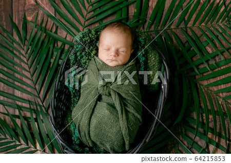 Little cute baby sleeps in a wicker basket of vines decorated with green palm leaves in a green blanket. Happy childhood Little cute baby sleeps in a wicker basket of vines decorated with green palm leaves in a green blanket. Happy childhood 64215853