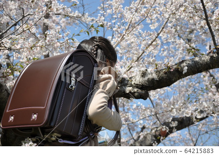 花用糖果和櫻桃樹 花用糖果和櫻桃樹 64215883