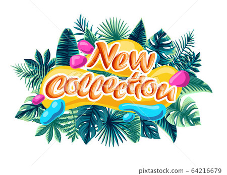 new collection tropical leaves sonce summer background new collection tropical leaves sonce summer background 64216679
