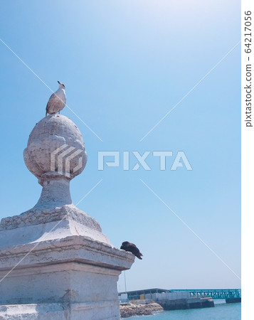 Guardian of the Sea Guardian of the Sea 64217056