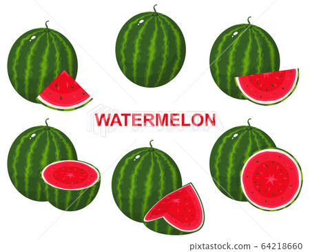 Set of fresh composition watermelon fruits 64218660
