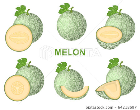 Set of fresh whole, half, cut slice melon fruit 64218697