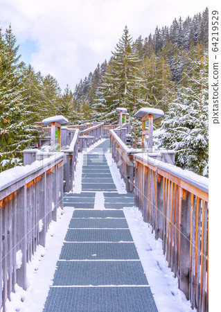 adventure park walk in Saalbach-Hinterglemm 64219529