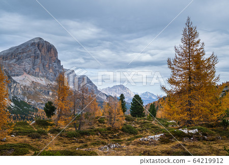Colorful autumn alpine Dolomites mountain scene, Sudtirol, Italy. Peaceful view from Falzarego Path. Colorful autumn alpine Dolomites mountain scene, Sudtirol, Italy. Peaceful view from Falzarego Path. 64219912