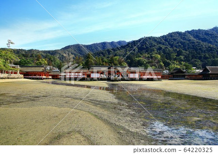 Aki的Miyajima /嚴島神社 Aki的Miyajima /嚴島神社 64220325