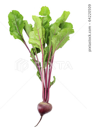 Red beet root with leaves isolated on white 64220509