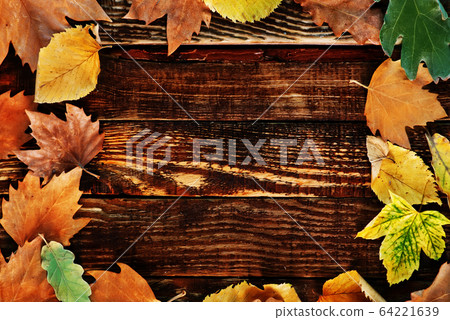 autumn background autumn background 64221639
