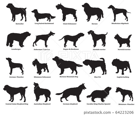 Set of dogs silhouettes 64223206