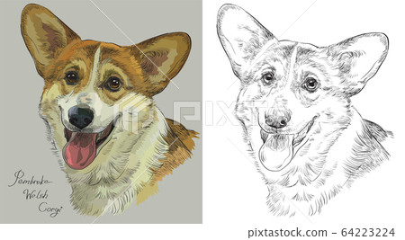 Colorful and monochrome hand drawing vector Colorful and monochrome hand drawing vector 64223224