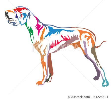 Colorful decorative standing portrait of Great 64223301