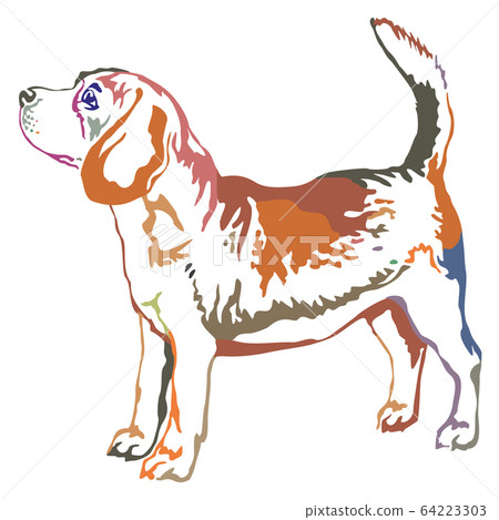 Colorful decorative standing portrait of beagle Colorful decorative standing portrait of beagle 64223303