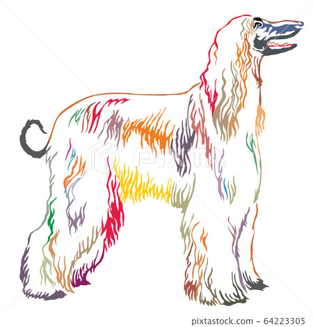 Colorful decorative standing portrait of Afghan 64223305