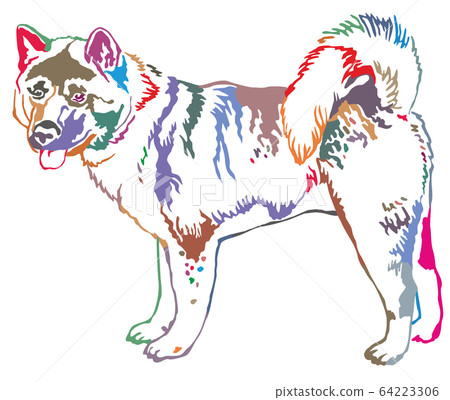 Colorful decorative standing portrait of american 64223306