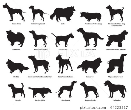 Set of dogs silhouettes-2 64223317