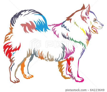 Colorful decorative standing portrait of dog 64223649