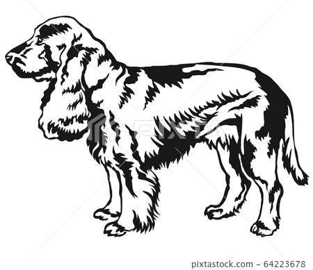 Decorative standing portrait of dog Field Spaniel 64223678