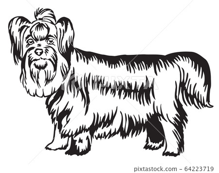 Decorative standing portrait of Yorkshire Terrier 64223719