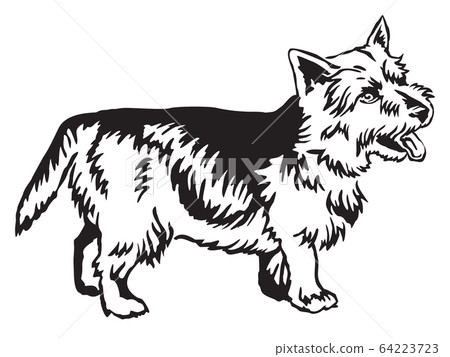 Decorative standing portrait of Norwich Terrier 64223723