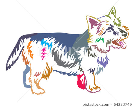 Colorful decorative standing portrait of Norwich 64223749