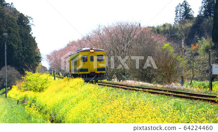 Kazusa East of Isumi Railway 64224460