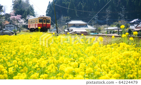 小湊鐵路高瀑布 64224479