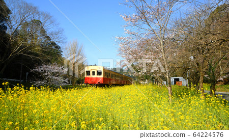 小湊鐵路一草大久保站 64224576