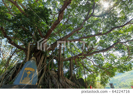 Banyan Tree Vietnam Banyan Tree Vietnam 64224716