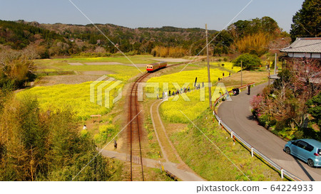 小湊鐵路上的石見油菜田 小湊鐵路上的石見油菜田 64224933