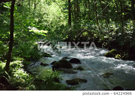 Oirase stream 64224966
