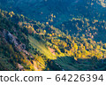 秋天 秋 楓樹 64226394