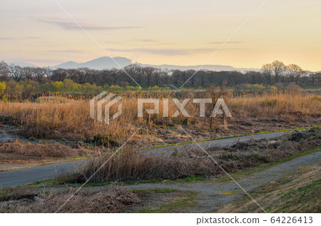 Road along the Kamogawa Road along the Kamogawa 64226413