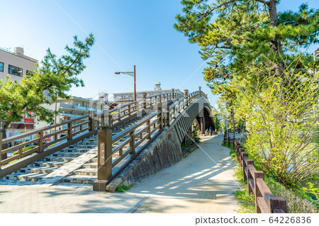Nikko Kaido National designated scenic spot Soka Matsubara 64226836