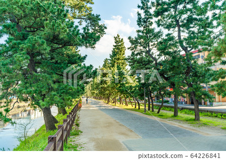 日光海道國家指定景點松原創價 日光海道國家指定景點松原創價 64226841