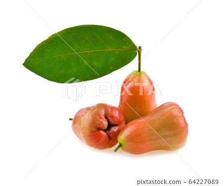 Rose apple on white background Rose apple on white background 64227089