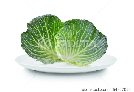 Cabbage leaf isolated in white plate on white Cabbage leaf isolated in white plate on white 64227094