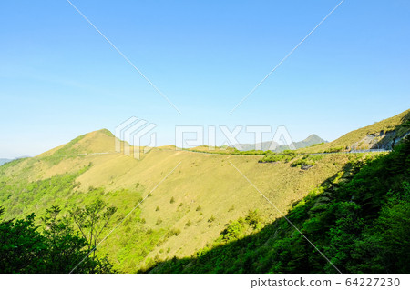 瓶森林森林公路 瓶森林森林公路 64227230