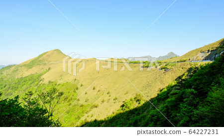 瓶森林森林公路 瓶森林森林公路 64227231