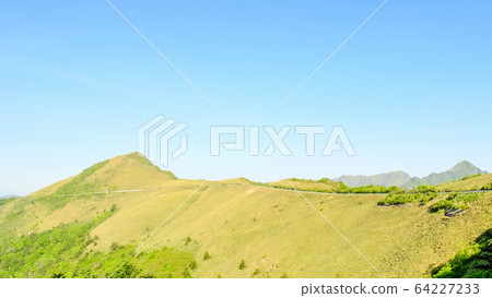 瓶森林森林公路 瓶森林森林公路 64227233