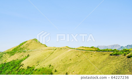 瓶森林森林公路 瓶森林森林公路 64227236