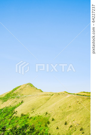 瓶森林森林公路 瓶森林森林公路 64227237