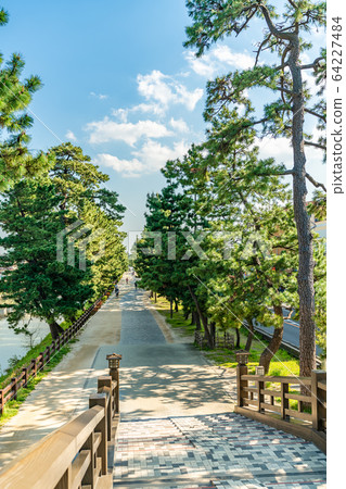 Nikko Kaido National designated scenic spot Soka Matsubara 64227484