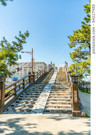 Nikko Kaido National designated scenic spot Soka Matsubara 64227488