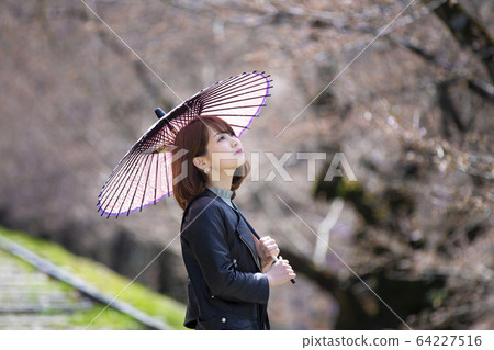 A young woman watching a cherry tree with a Japanese umbrella at the Keage Incline in Higashiyama-ku, Kyoto, Kyoto A young woman watching a cherry tree with a Japanese umbrella at the Keage Incline in Higashiyama-ku, Kyoto, Kyoto 64227516