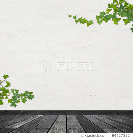 Background-wall-floor-whiteback-ivy 64227532
