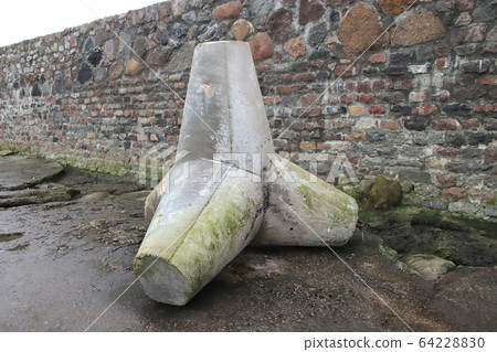 Tetrapods along the waterfront sea wall Tetrapods along the waterfront sea wall 64228830
