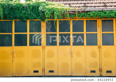 Yellow door in Szentendre, Hungary 64228953