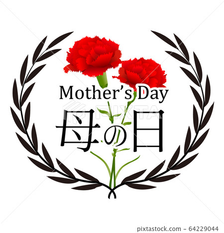 母親節康乃馨花圖標 64229044