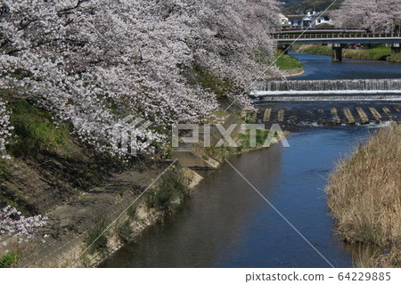 Spring spring 64229885